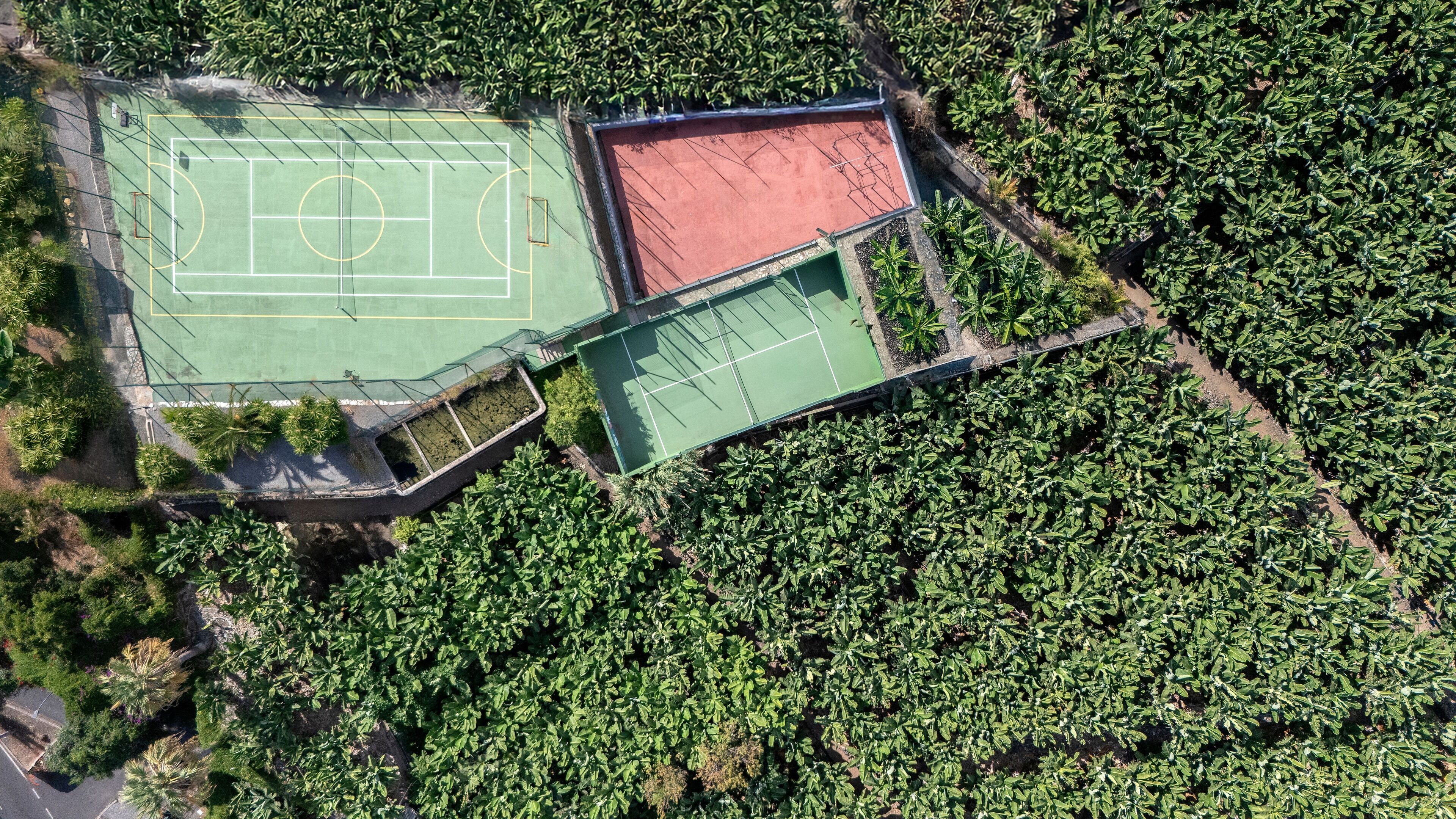 Foto - AluaSoul Orotava Valley - Adults Only