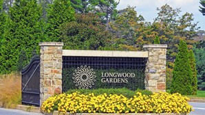 Cartel de Longwood Gardens con un emblema solar decorativo, rodeado de un muro de piedra y una verja de metal.