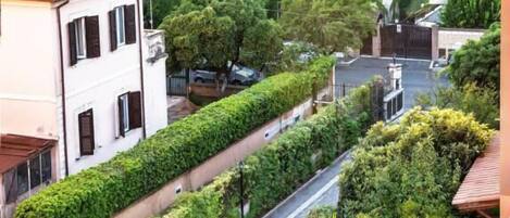 A residential street with houses, a paved road, and lush greenery.