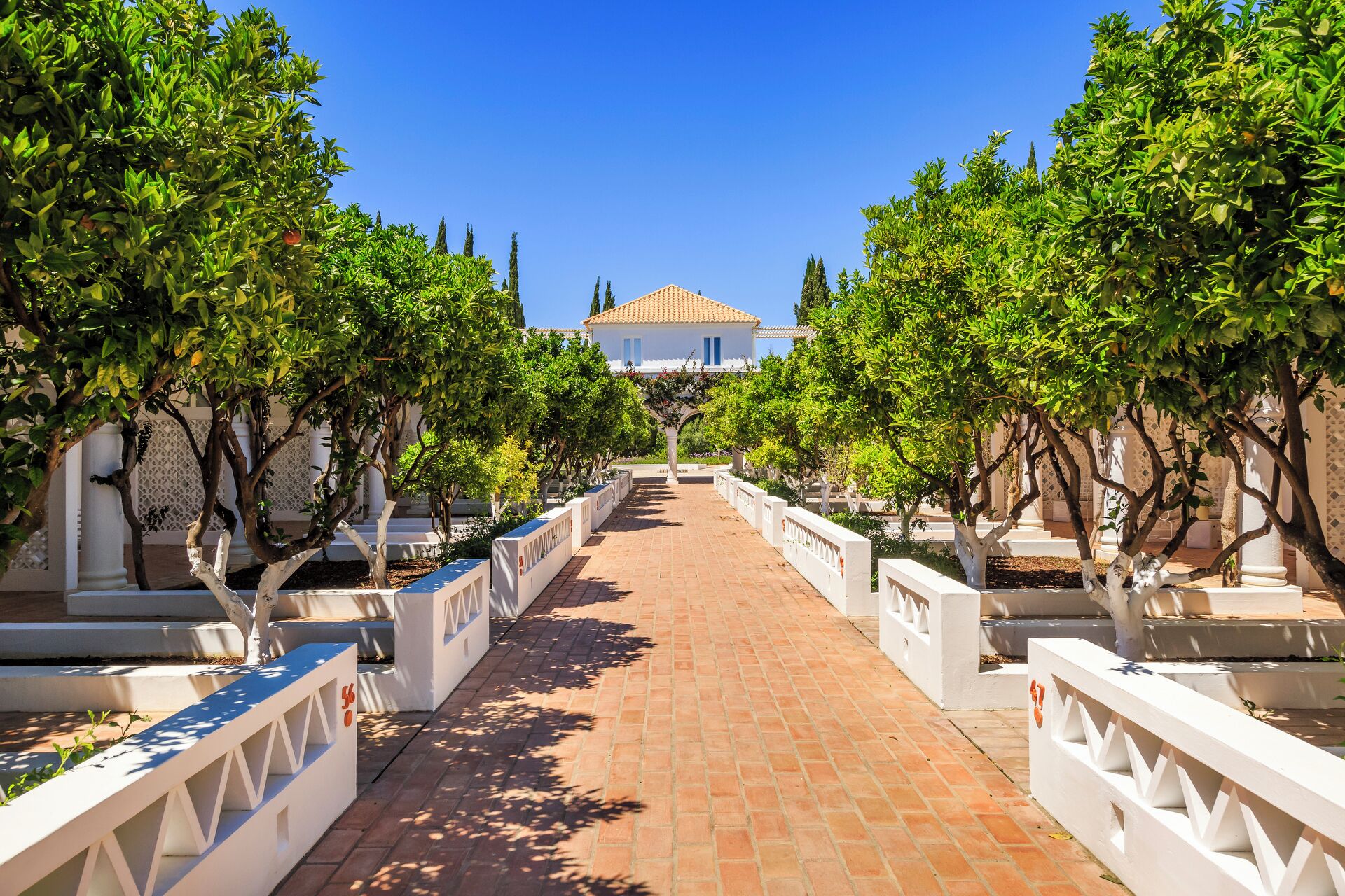 A pathway leading to a building with a tiled roof, flanked by rows of trees and white railings.