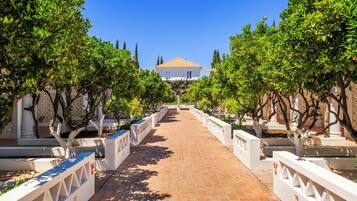 A pathway leading to a building with a tiled roof, flanked by rows of trees and white railings.