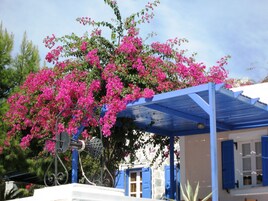 Jardín