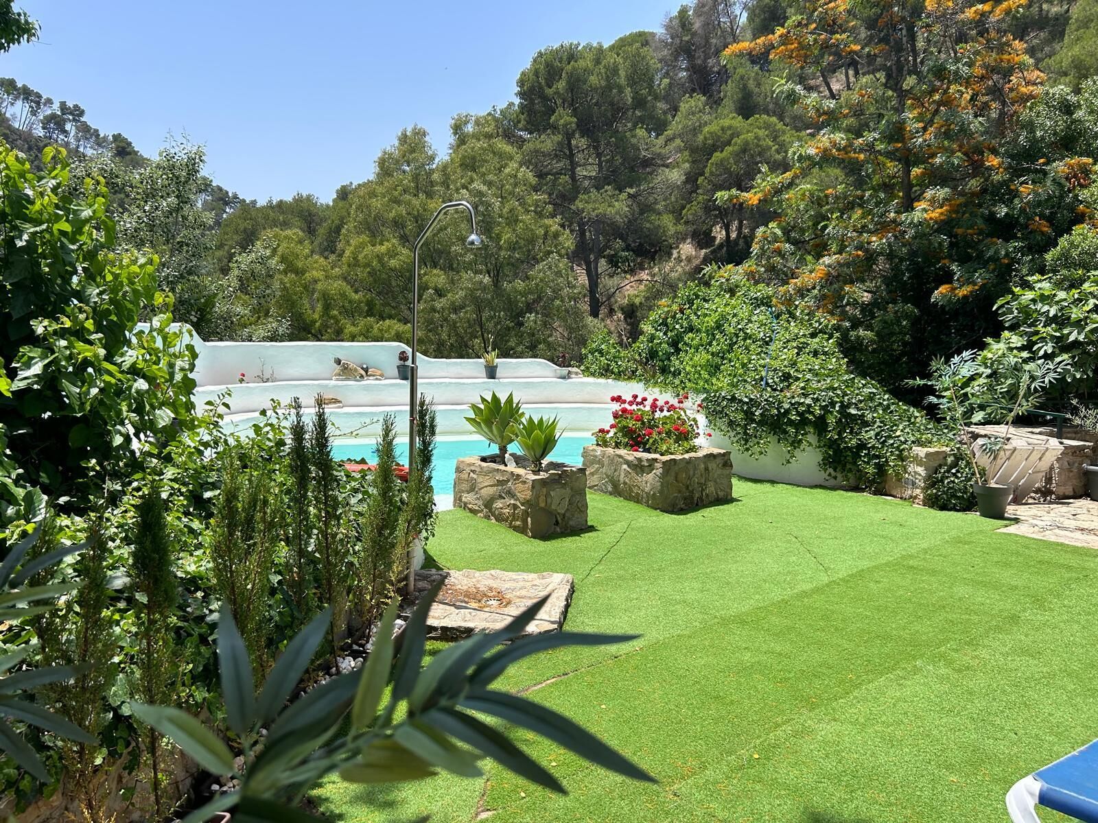 A pool area with artificial grass, surrounded by various plants and trees.