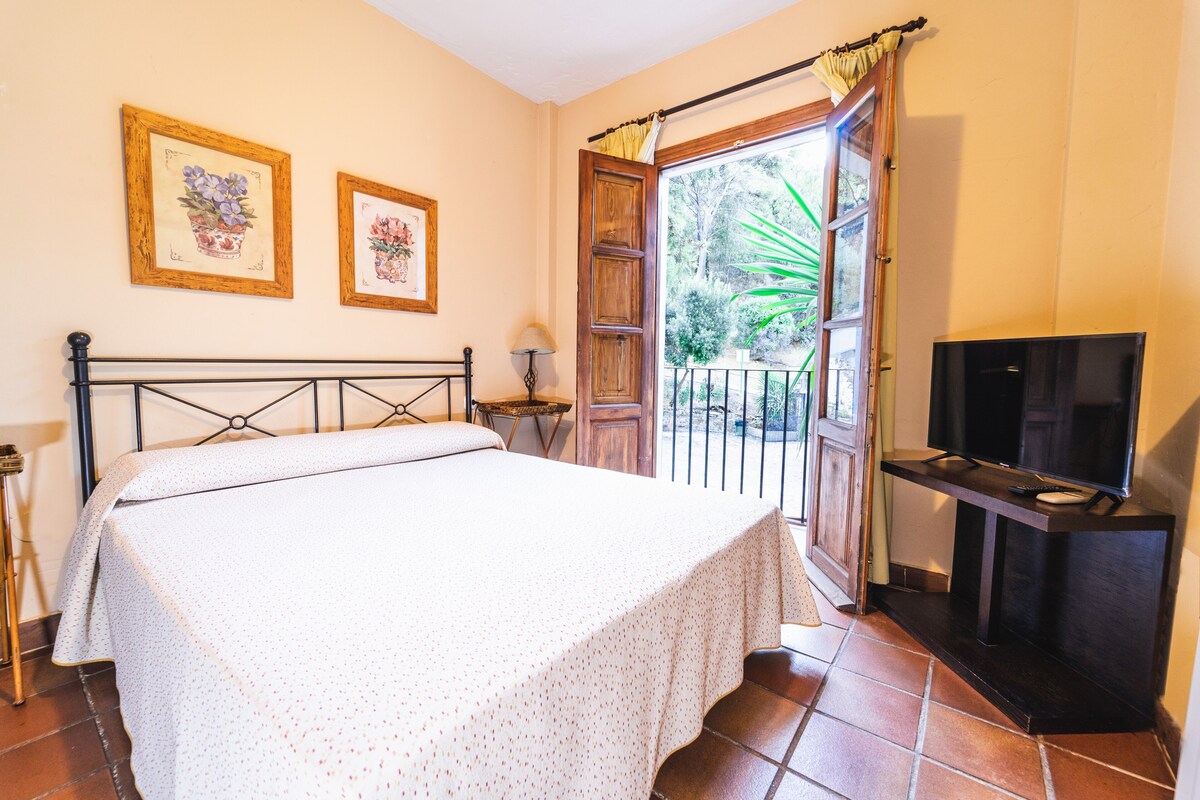Superior Room, Mountain View