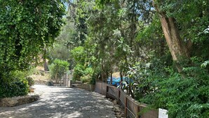 Un camino pavimentado flanqueado por árboles y una valla de madera.