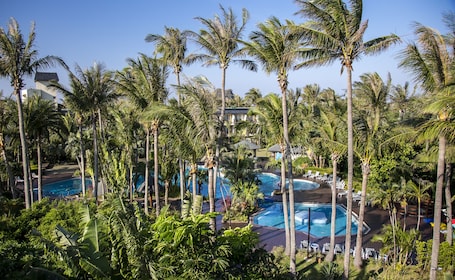 Una piscina al aire libre, sombrillas, sillones reclinables de piscina. Caesar Park Kenting