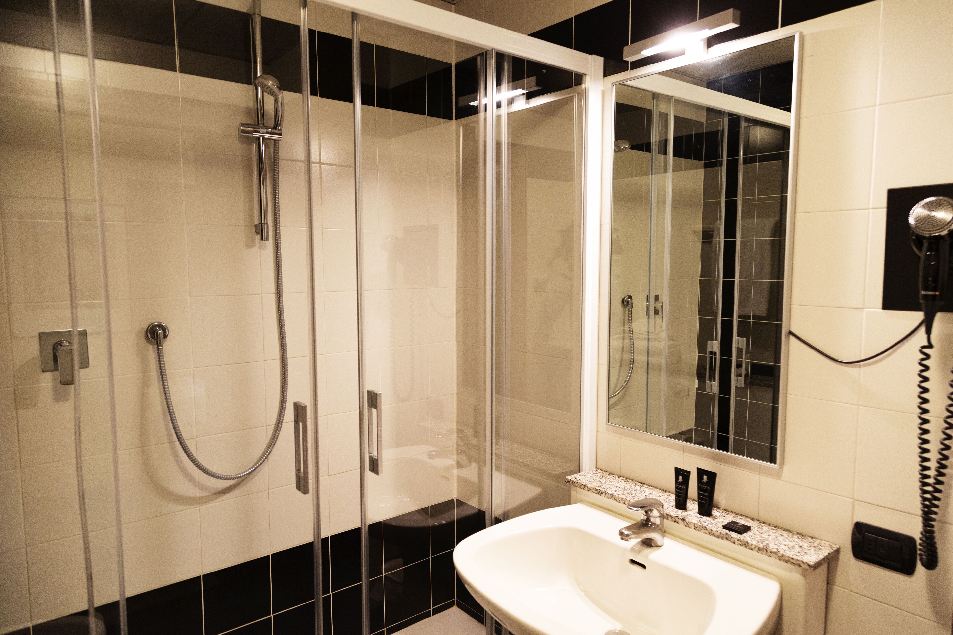 hair dryer, bidet, towels