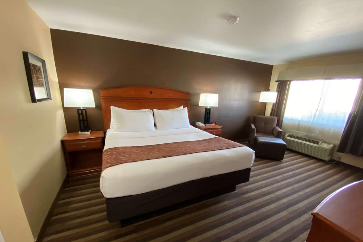 Business Room, 1 King Bed, Non Smoking | Desk, laptop workspace, iron/ironing board, free WiFi