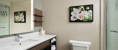 A modern bathroom with a large mirror, a sink, a toilet, and two framed floral pictures on the wall.