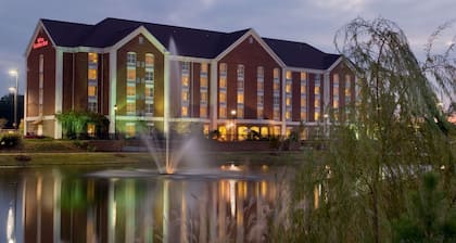 Hilton Garden Inn Jackson/Madison