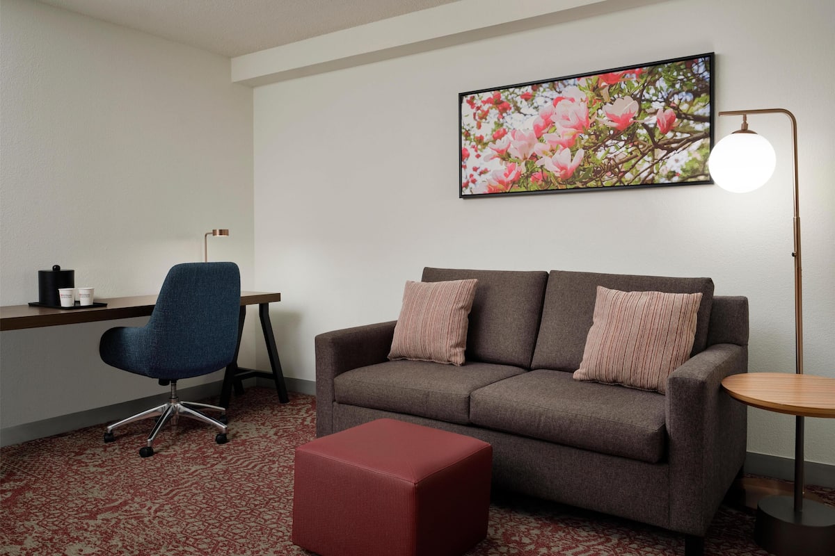 Suite, 1 très grand lit | Coin séjour