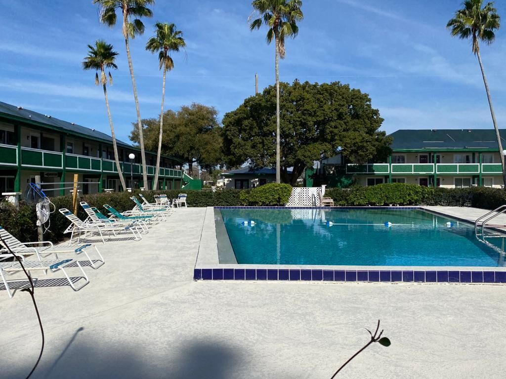 A swimming pool with lounge chairs and palm trees.