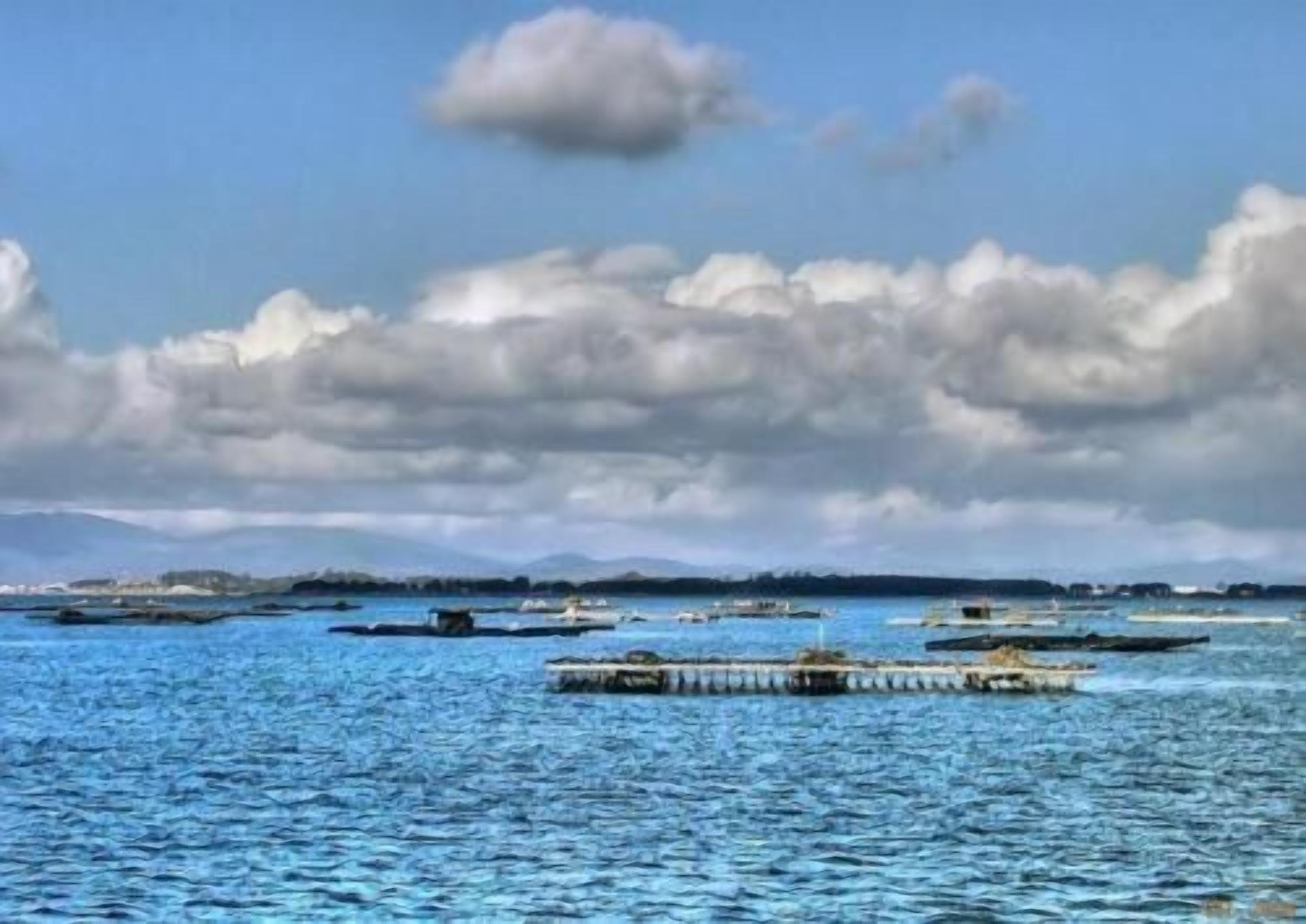 Foto - Hotel Abeiras