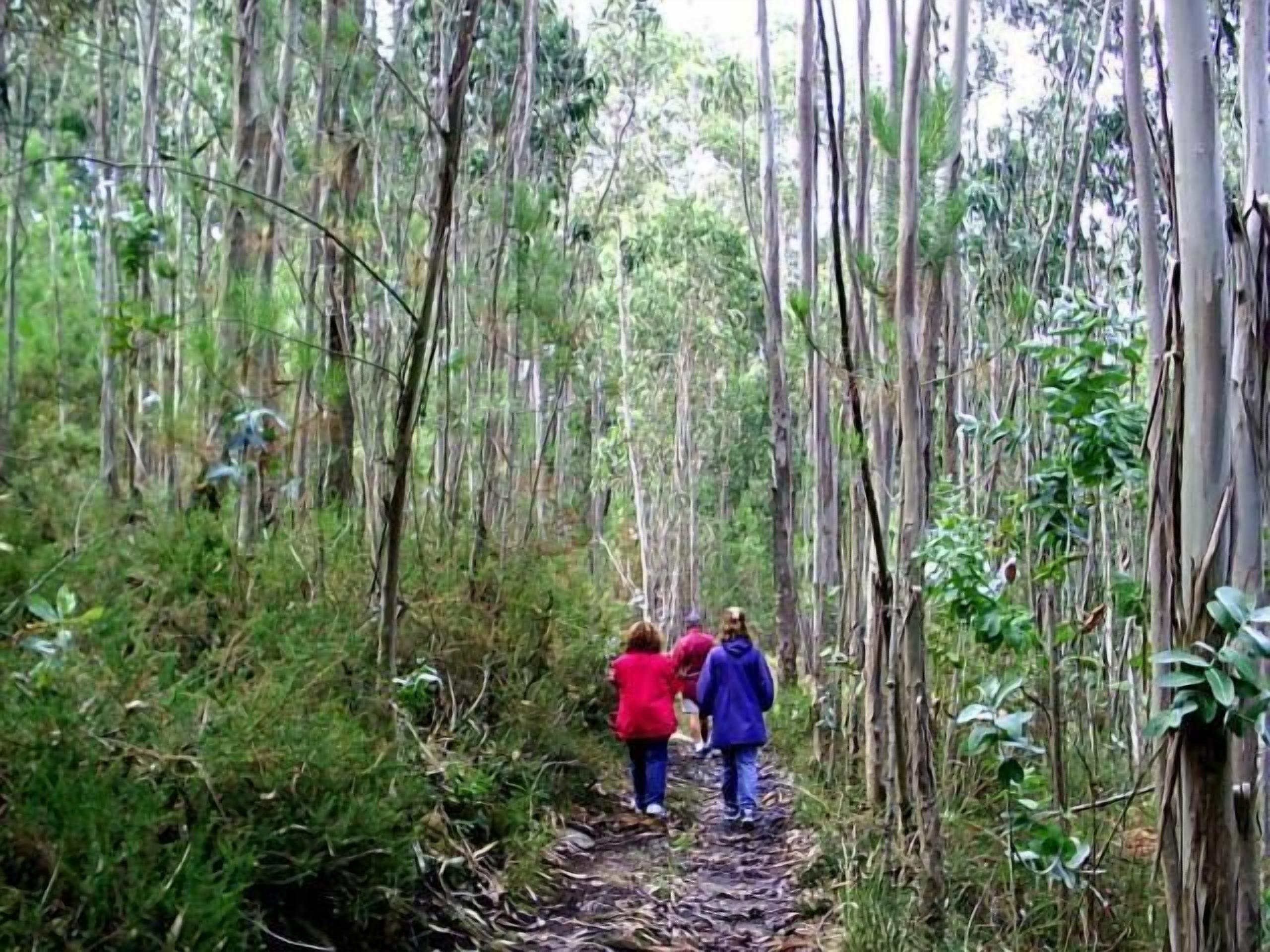 Foto - Hotel Abeiras