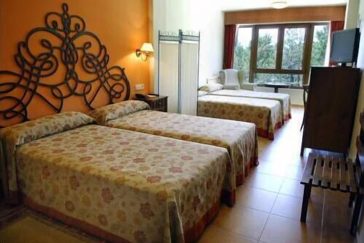 A hotel room with two beds, a TV, and a window with a view of trees.