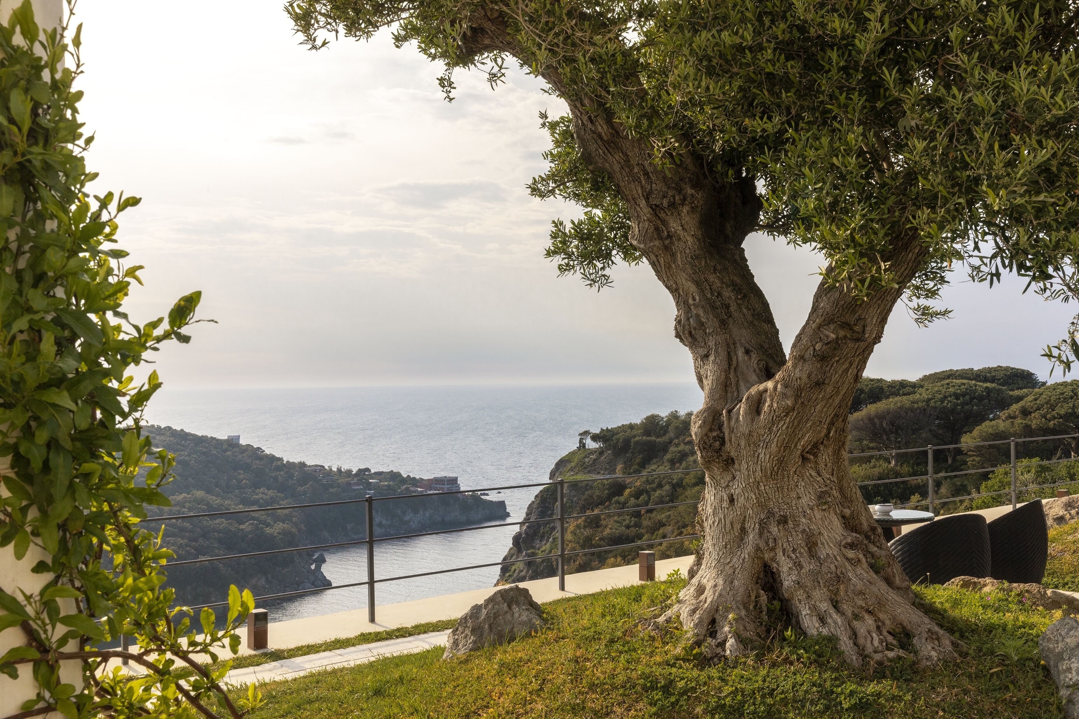 Un sentiero alberato che conduce a una vista sul mare, con ringhiera e zona relax.