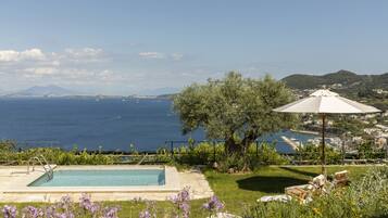 Ein Pool mit Blick auf das Meer und die Berge, umgeben von Grünpflanzen und Blumen.