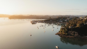 A coastal town with boats docked along the shore and buildings on the hillside. - Cliff Edge by the Sea (Opua)