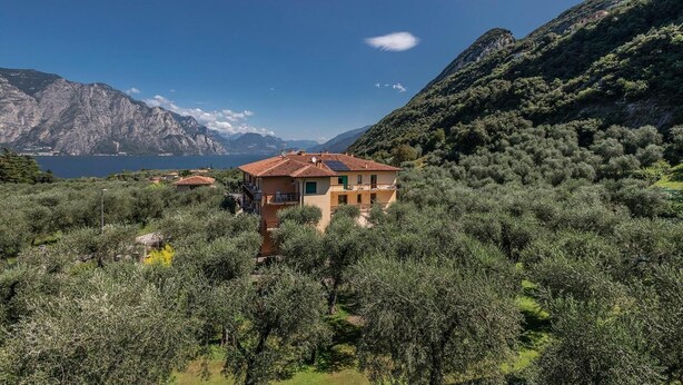 Una villa rodeada de olivos y montañas, con vista al mar y un cielo despejado.