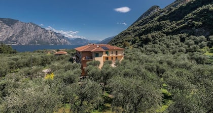 Hotel Garni Orchidea