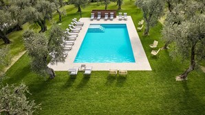 Piscina rectangular con sillas de descanso y una zona de estar cubierta, rodeada de olivos y un paisaje con césped.