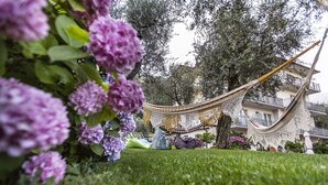 Una hamaca en un área con césped y un edificio al fondo.