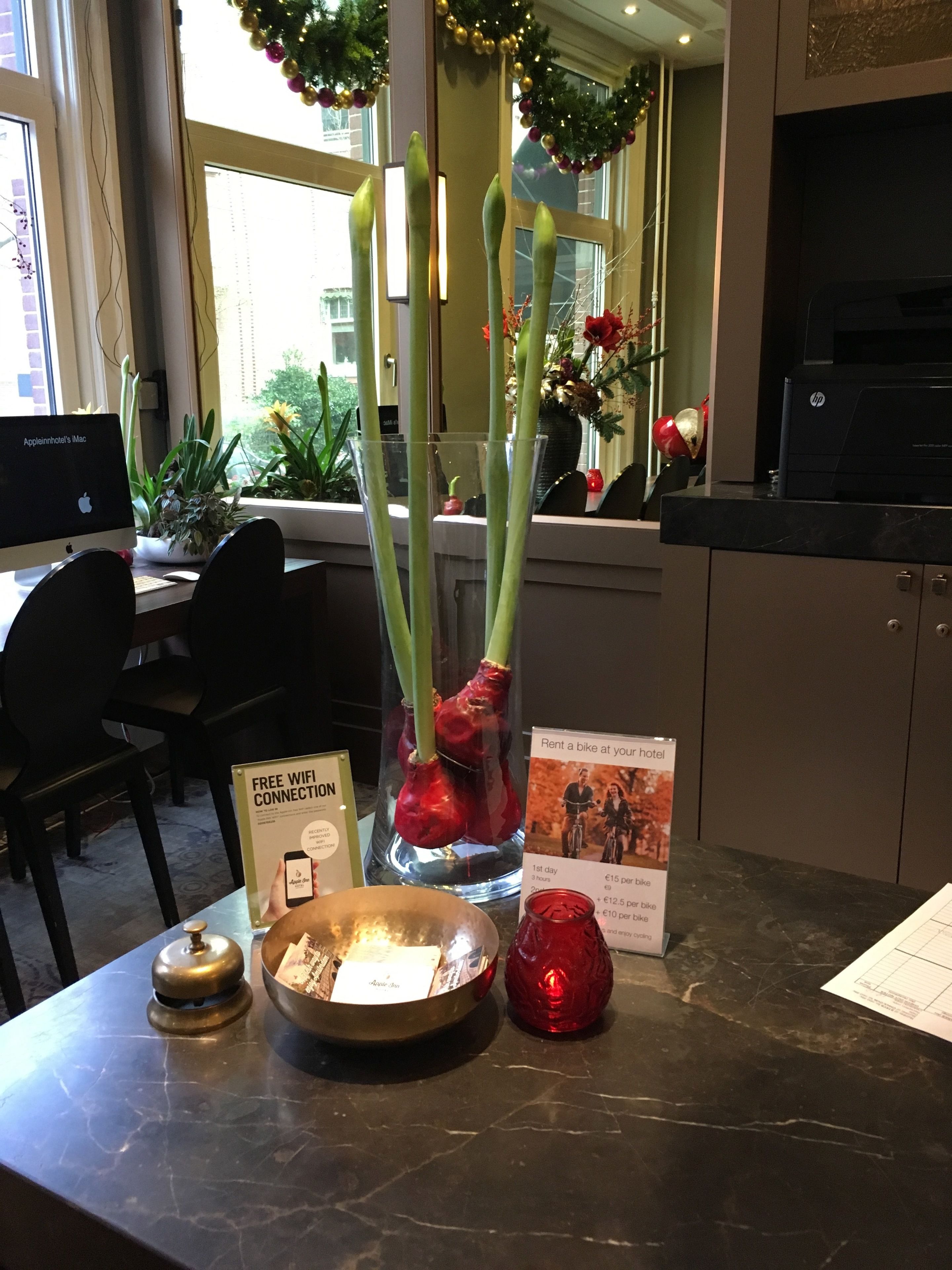 Foto - Apple Inn Hotel