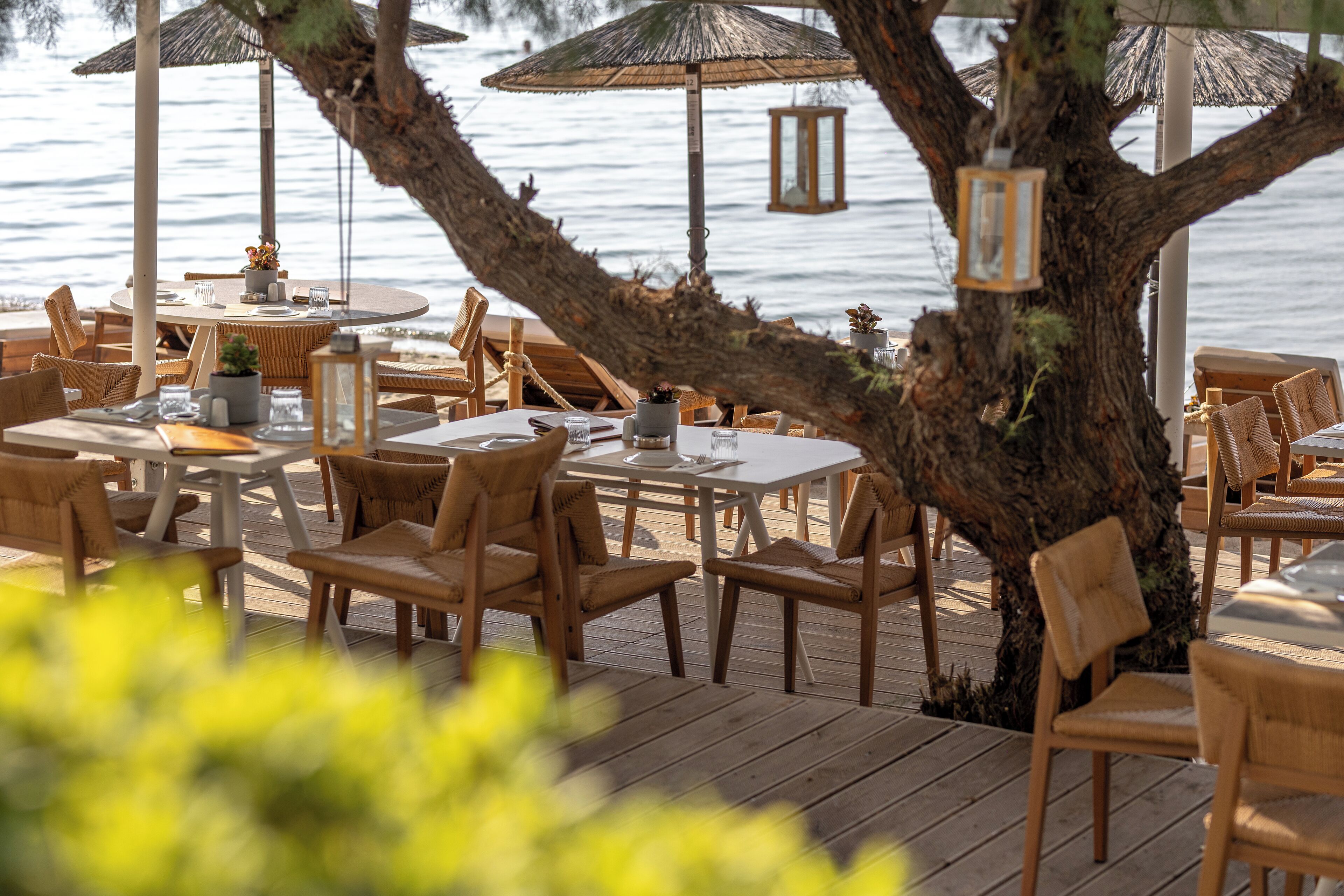 Foto - Golden Star City Resort