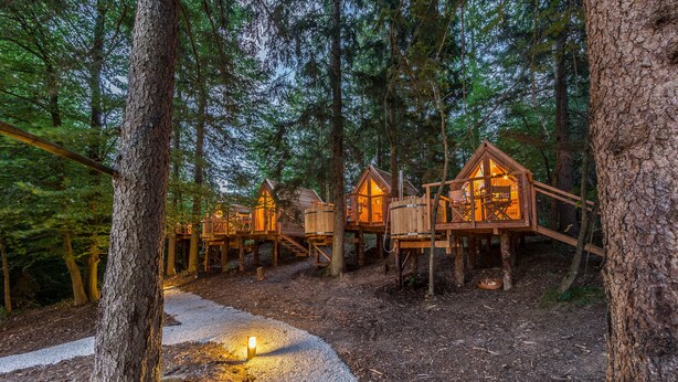 Cabañas en los árboles de madera conectadas por pasarelas de madera en un bosque.