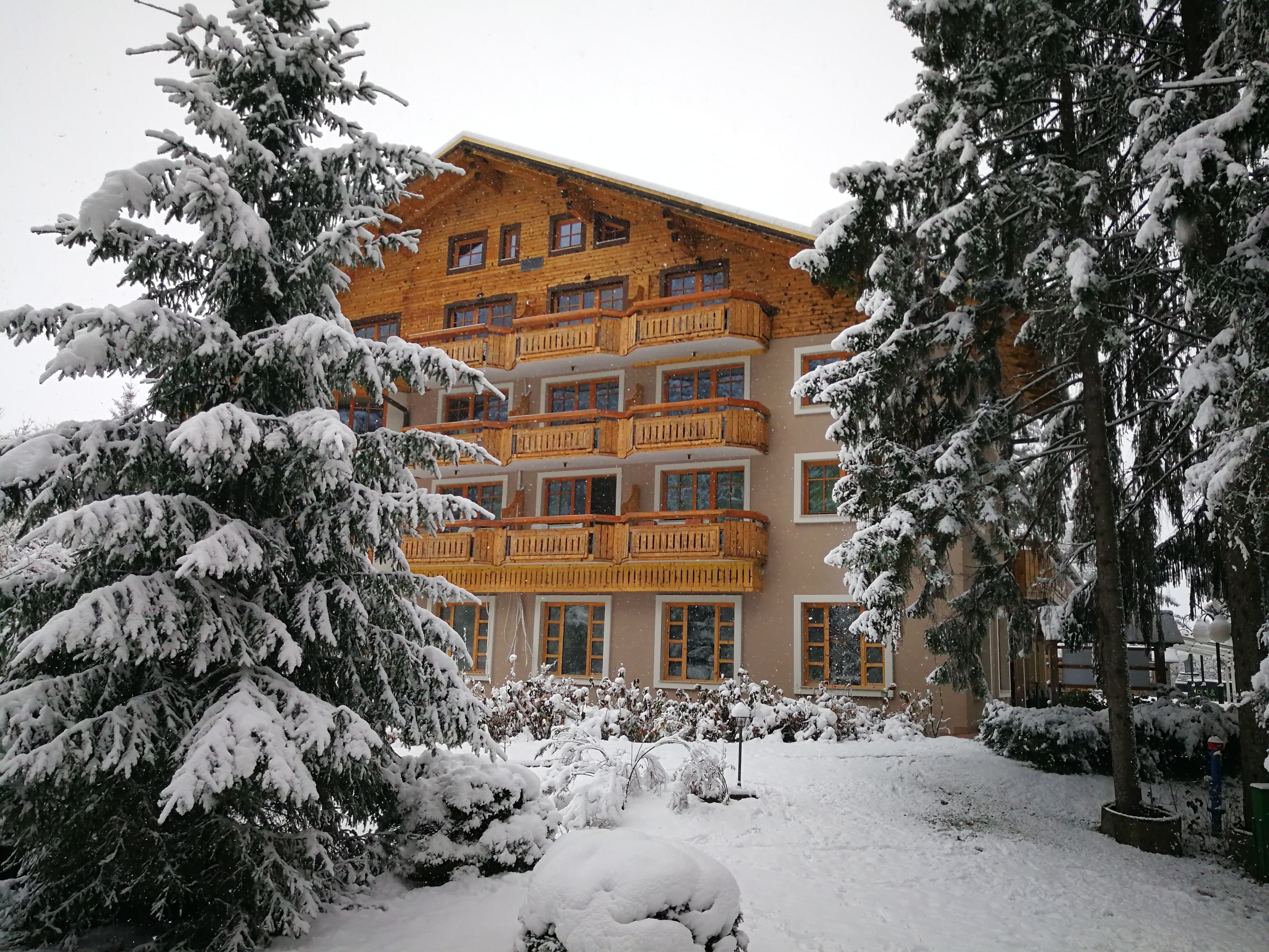 滑雪