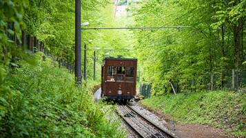 A narrow railway track surrounded by dense greenery.