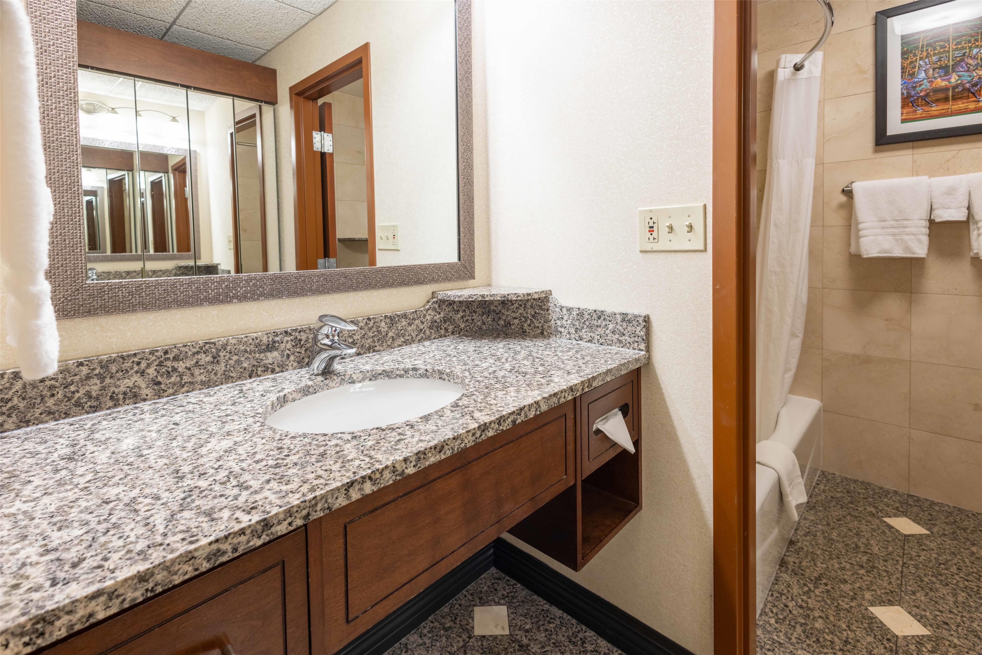 combined shower/bathtub, free toiletries, hair dryer, towels