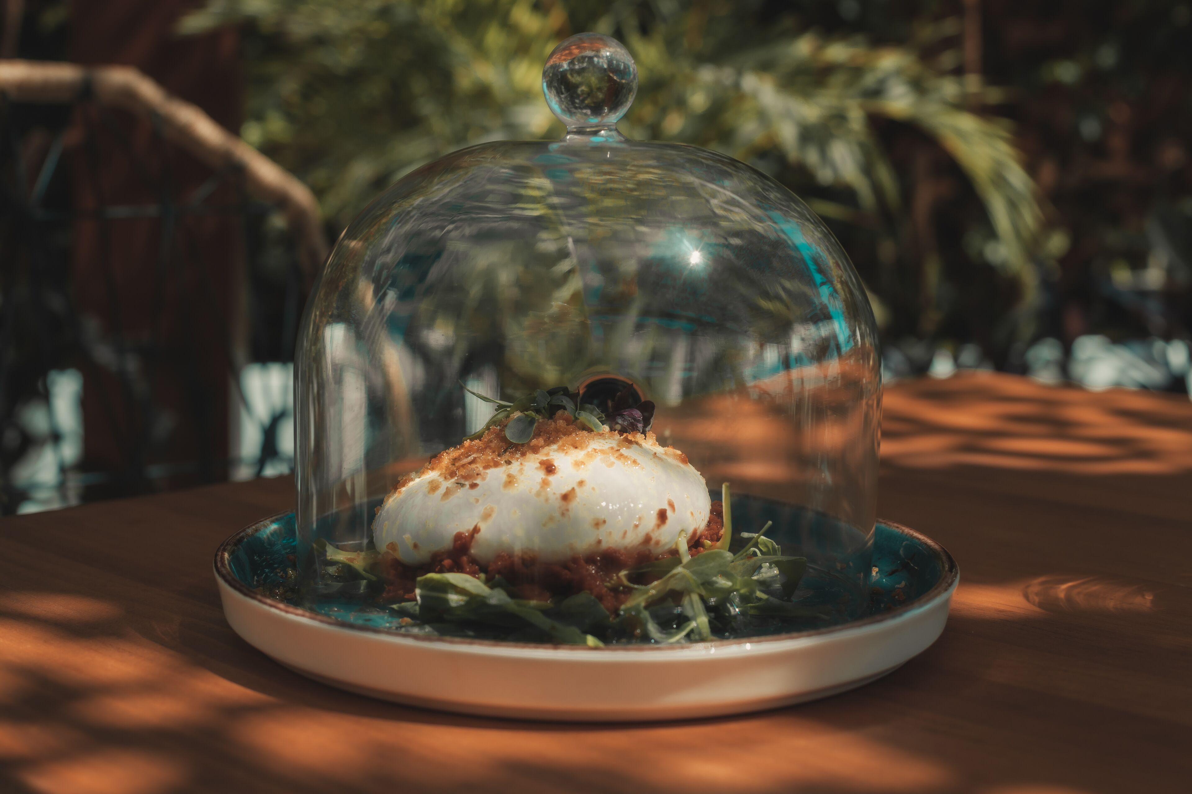 A dish under a glass dome on a table.