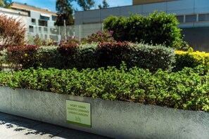 Señal para Hort Urbà, un espacio jardín verde con diversas plantas y arbustos.