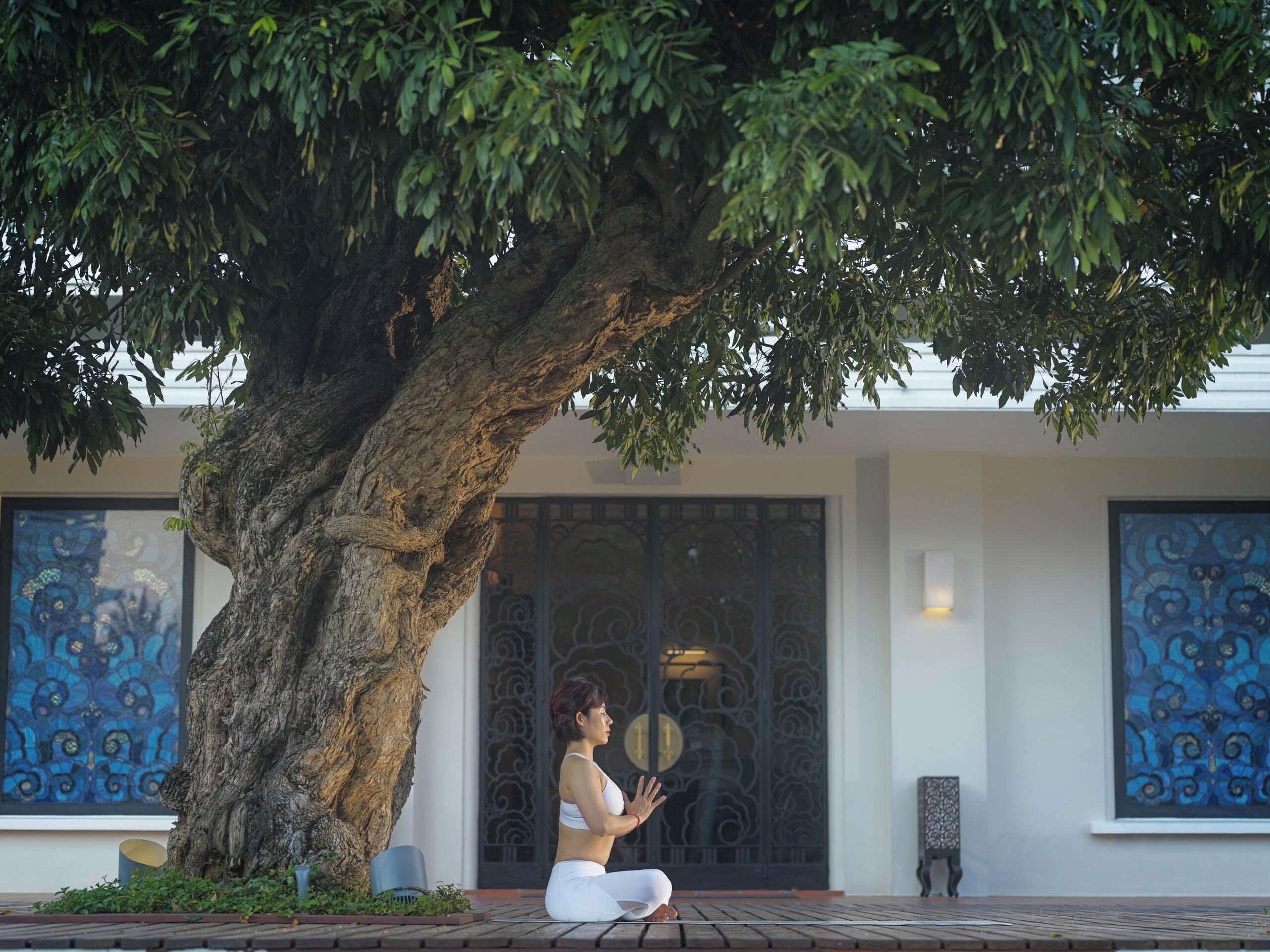 A person meditating under a large tree in front of a building with ornate doors and windows.