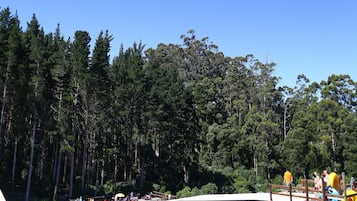 Children’s area