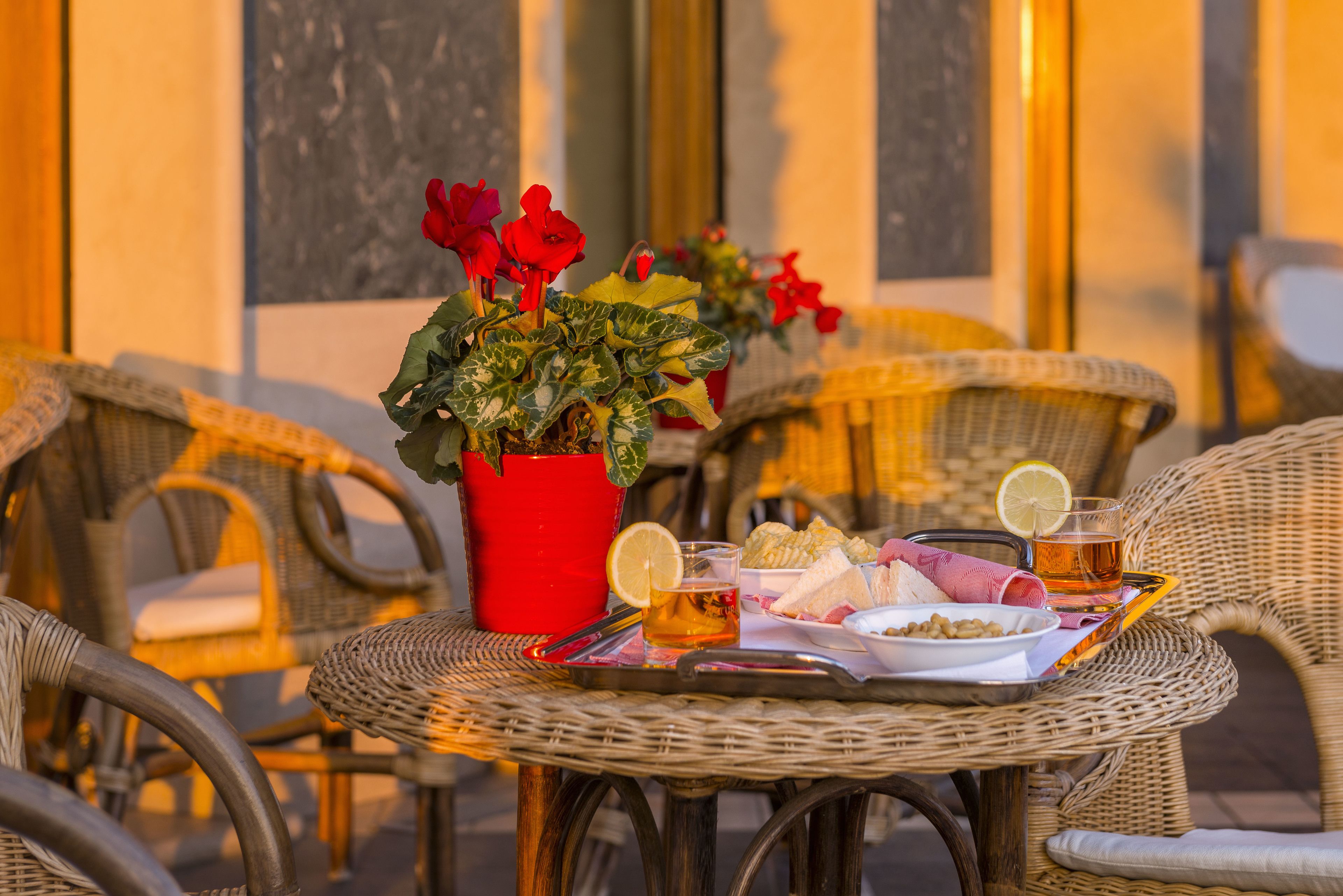 A wicker table with a plate of food, a glass of tea, and a potted plant with red flowers.
