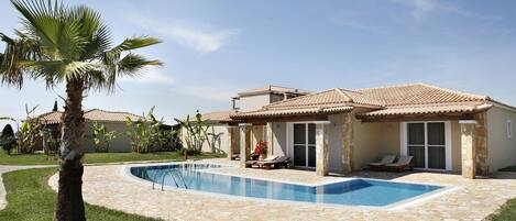 A house with a swimming pool, a covered patio, and a palm tree.