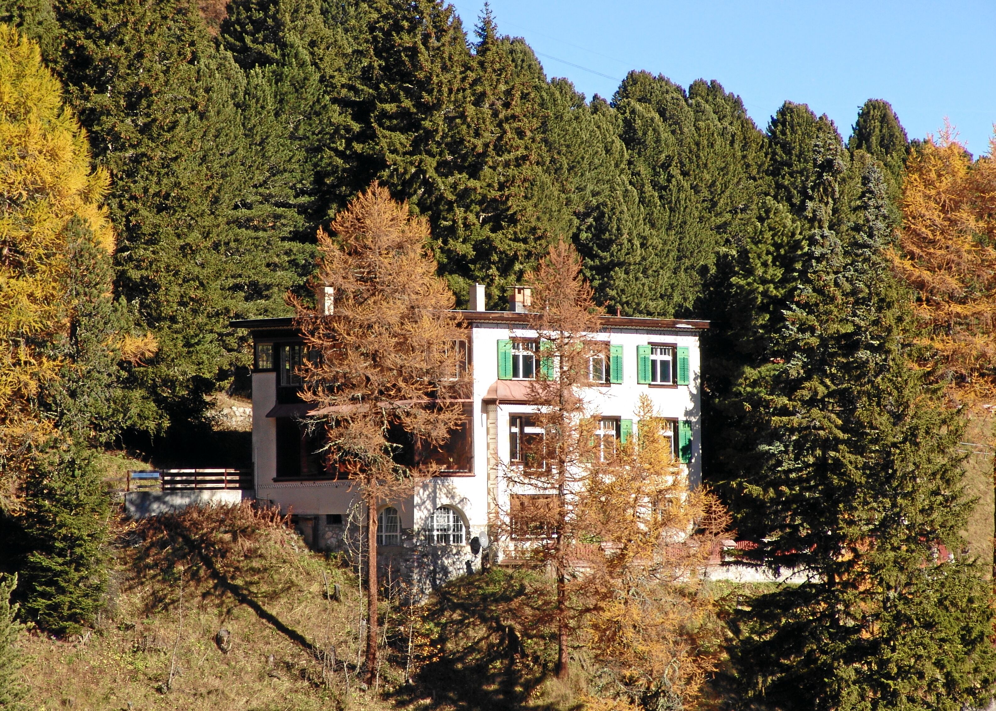 Ein zweistöckiges Geb äude mit weißer Fassade und grünen Fensterläden, umgeben von dichtem Wald.