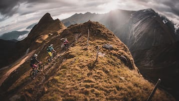 Ein Mountainbike-Pfad mit deutlicher Strecke und felsigem Gelände.