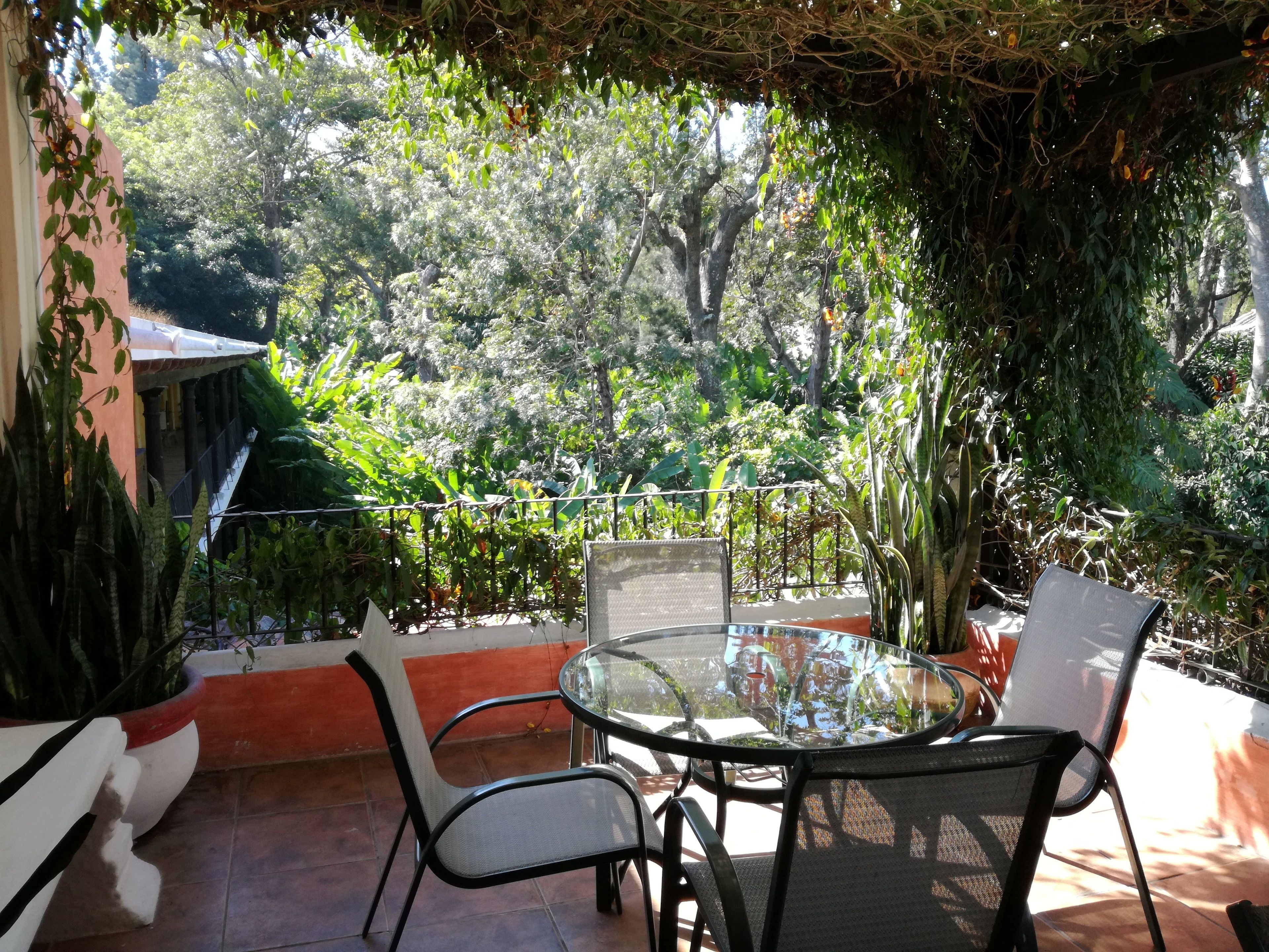 Eine Terrasse mit Glastisch und Stühlen, umgeben von üppiger Vegetation und Blick auf Bäume.