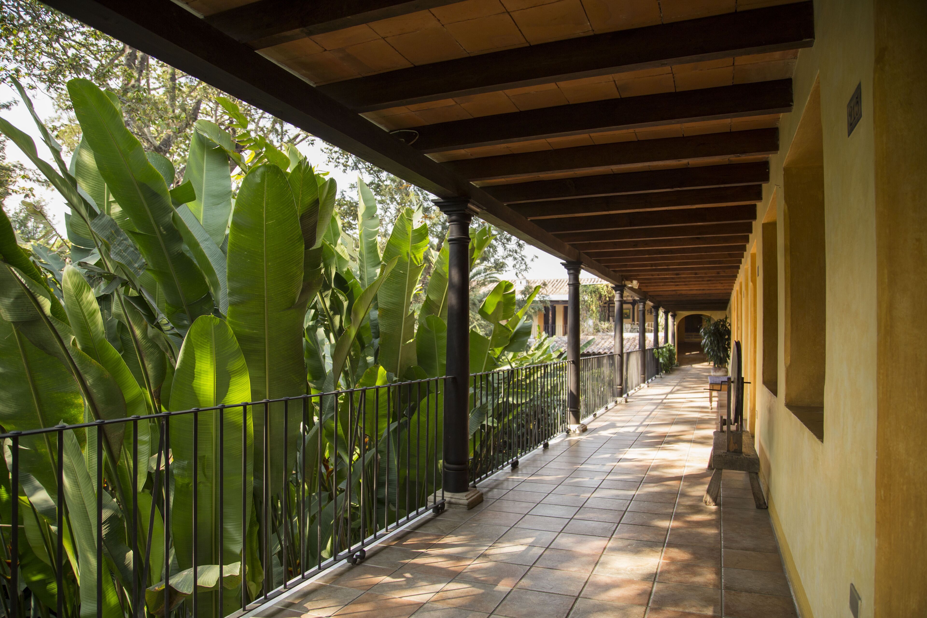 Photo - Hotel Las Farolas