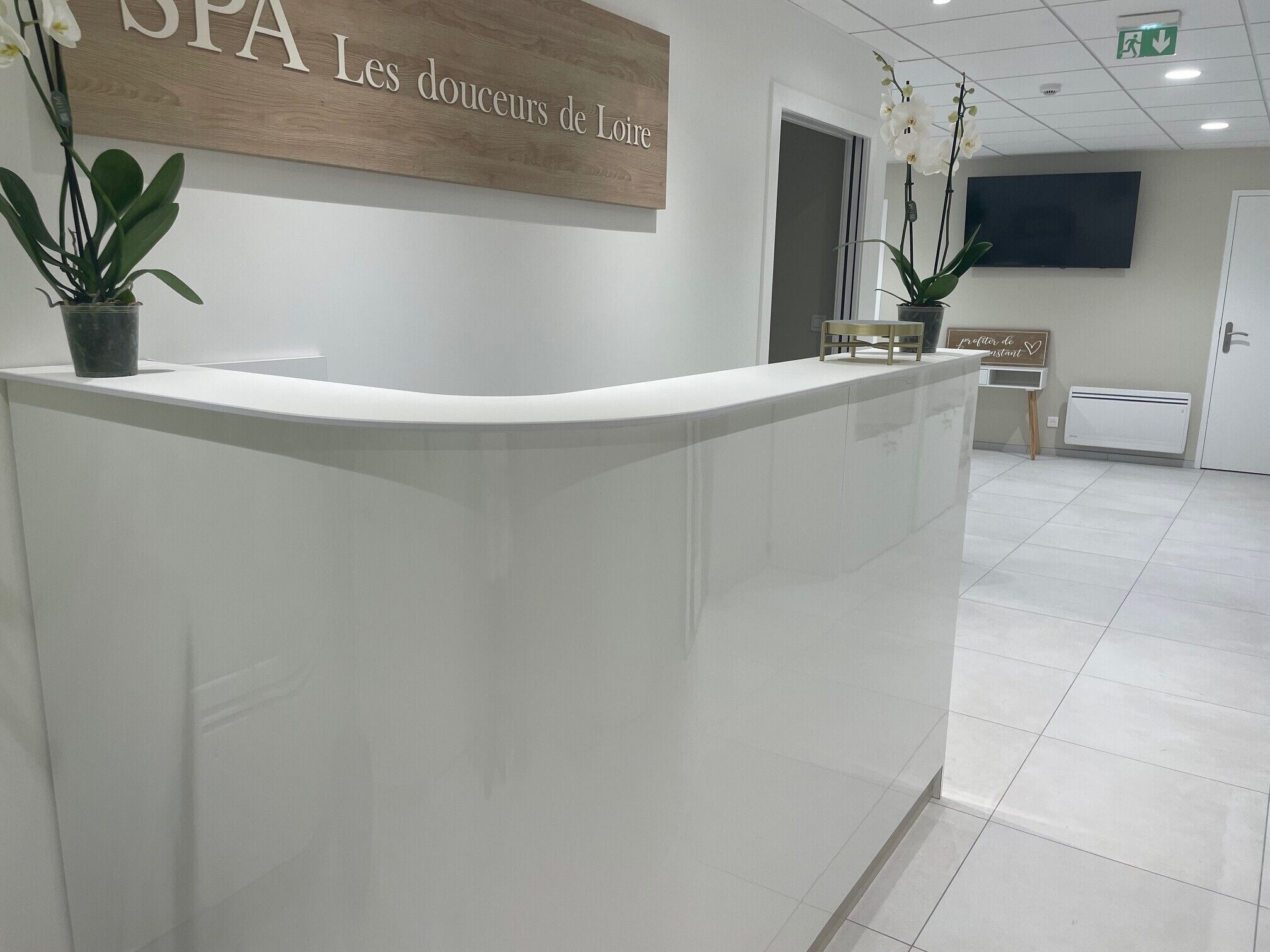 A reception desk with a sign reading "SPA Les douceurs de Loire". There are potted plants on the desk, a chair, and a television mounted on the wall.