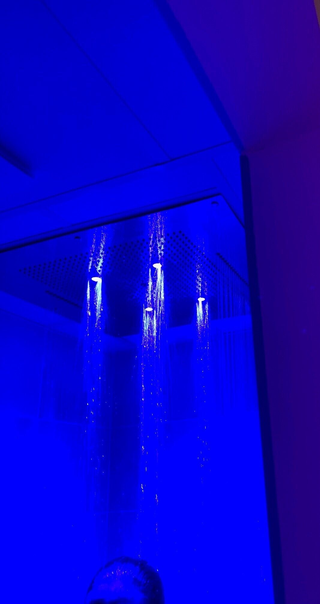 A room with a large aquarium.
