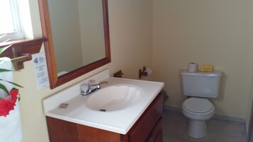 Un baño con un lavabo blanco, un espejo, un inodoro y un armario de madera.