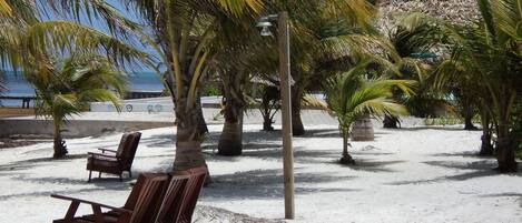 Ein Strand mit Palmen, einer Holzbank und einer Betonmauer im Hintergrund.