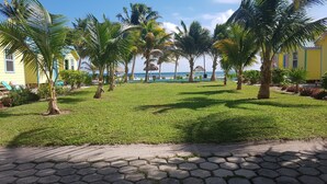 Un césped bien cuidado con palmeras y un camino pavimentado que lleva a una playa.