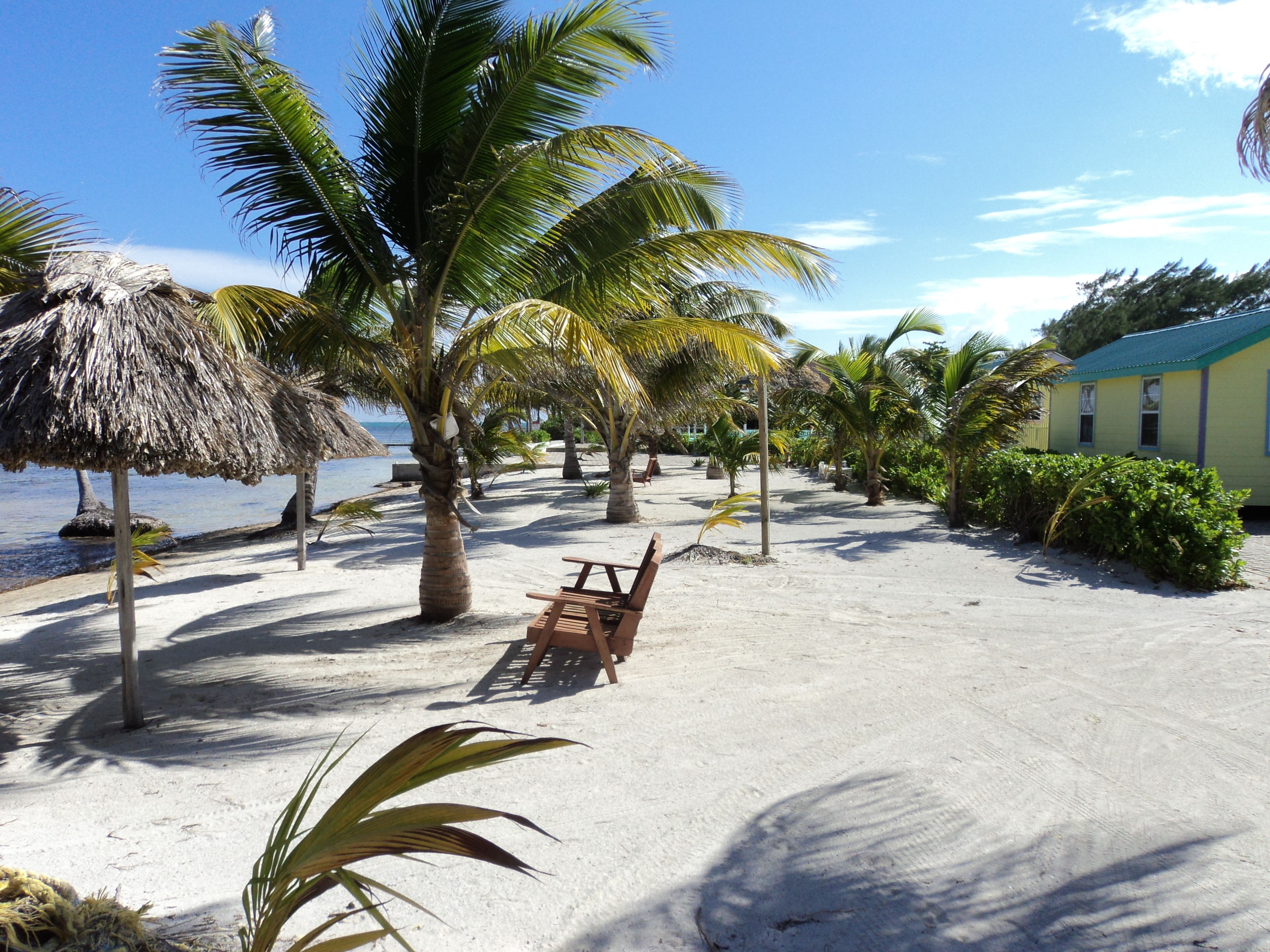 A beach with palm trees, a thatched-roof hut, and a wooden bench.