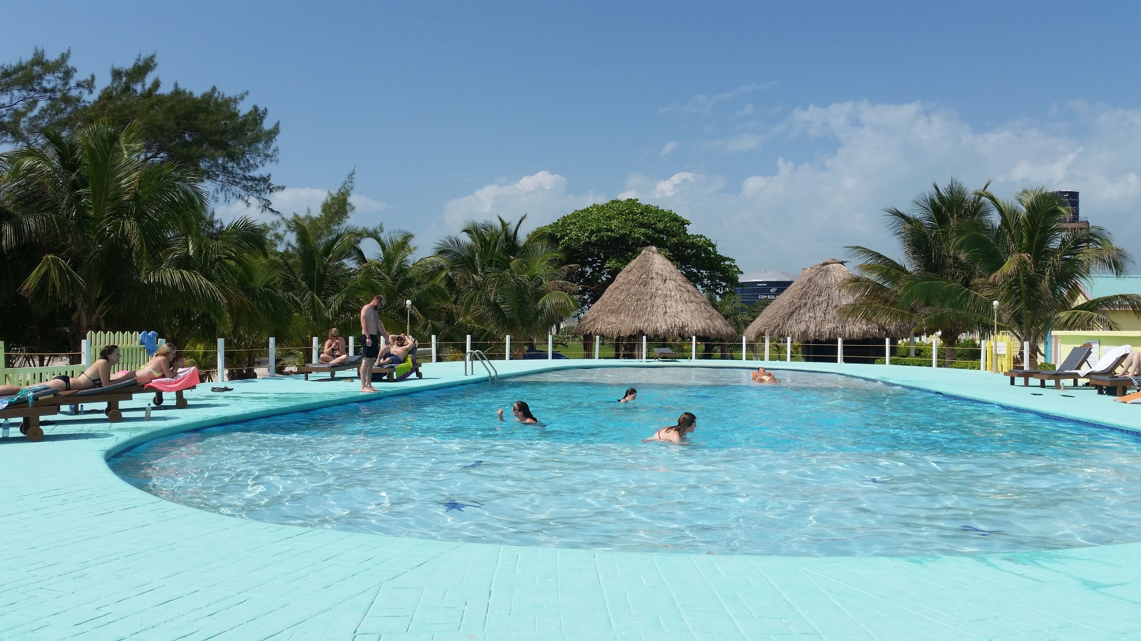 Outdoor pool, pool umbrellas, pool loungers