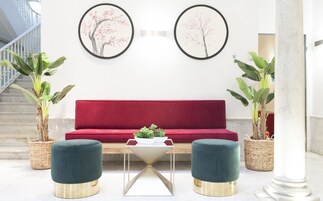 A red sofa, two green ottomans, a coffee table, and two potted plants.
